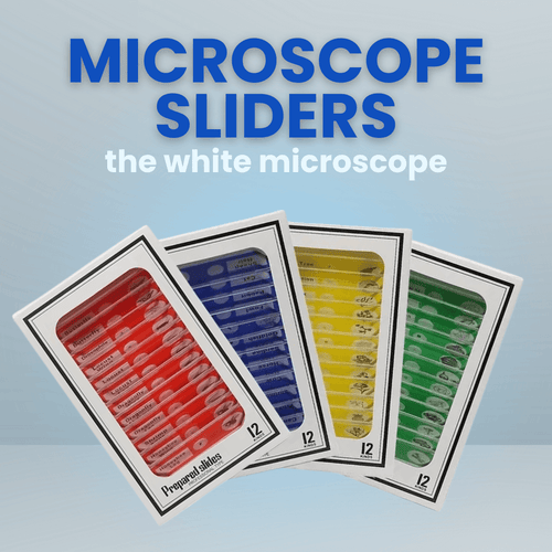 Educational Prepared Microscope Slides (12PCS)